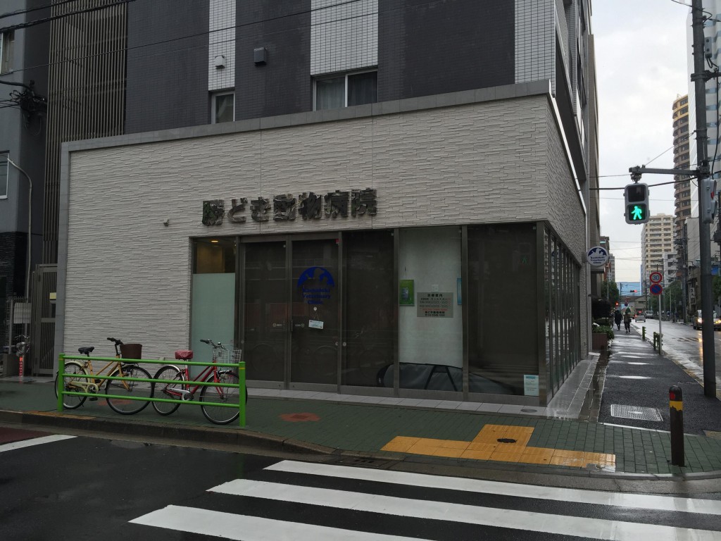 KACHIDOKI THE TOWER（勝どき・ザ・タワー） 周辺