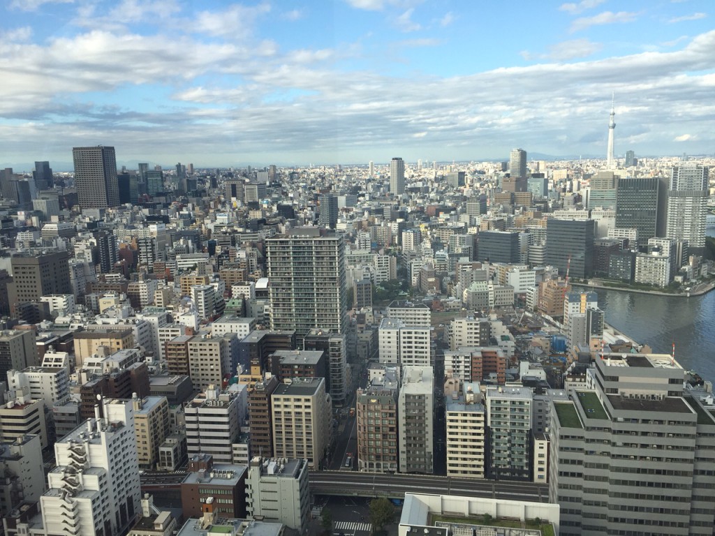 パークシティ中央湊 ザ タワー