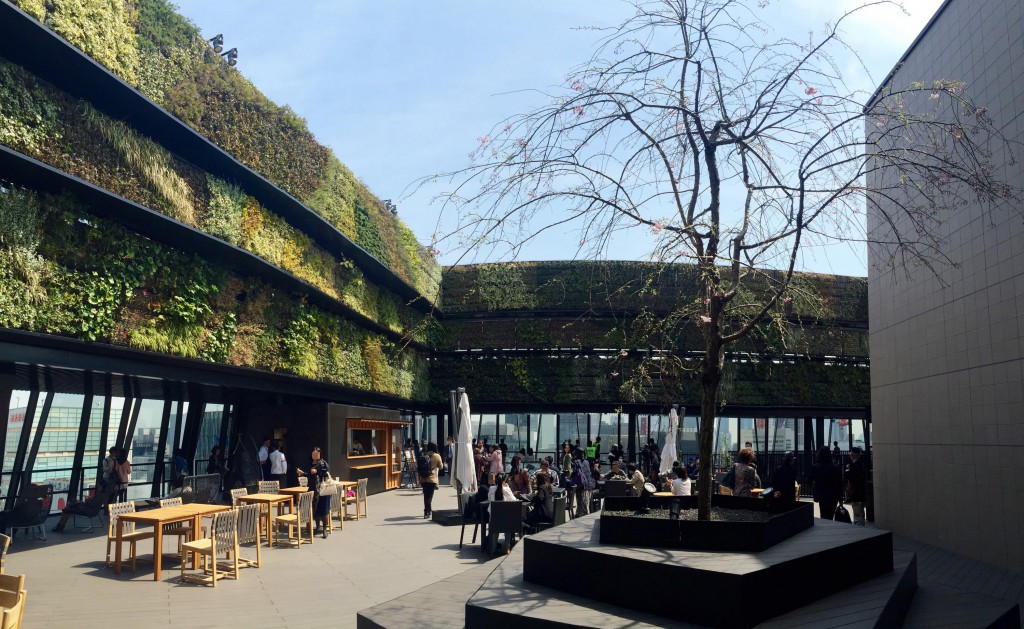 東急プラザ銀座　屋上