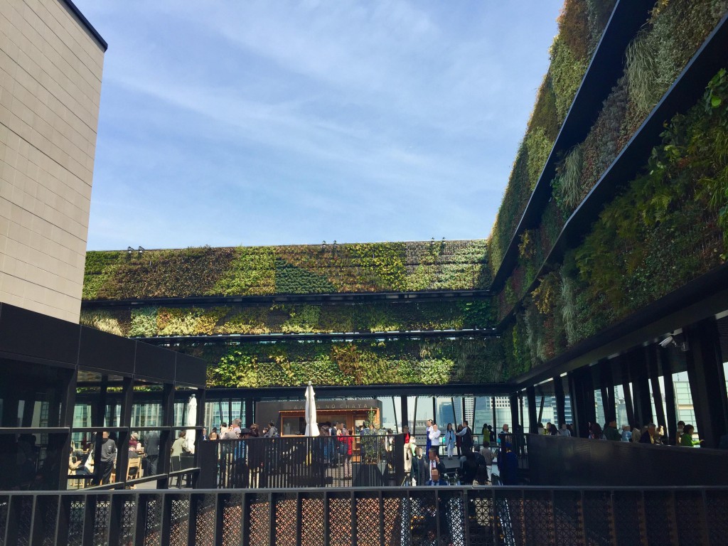 東急プラザ銀座　屋上