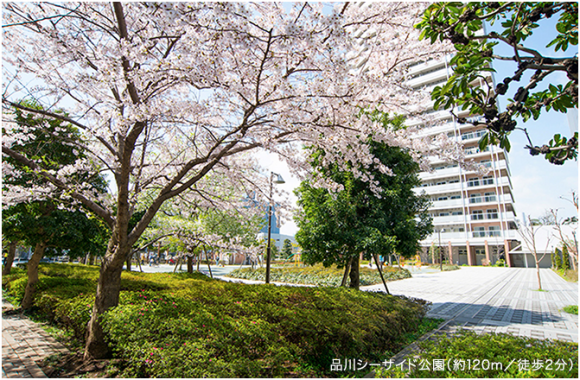 プライムパークス品川シーサイド ザ・タワー　公園