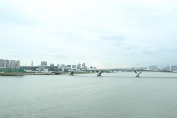 豊洲市場　現地写真