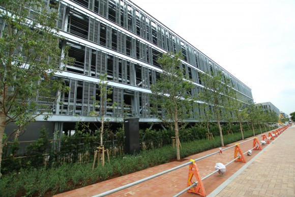 豊洲市場　現地写真