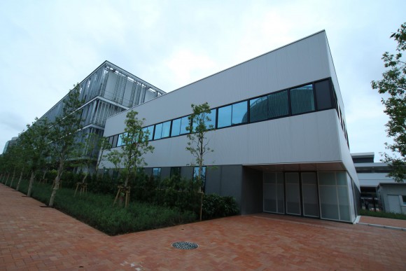 豊洲市場　現地写真