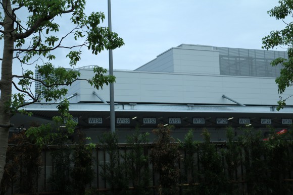 豊洲市場　現地写真