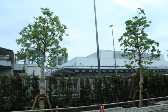 豊洲市場　現地写真