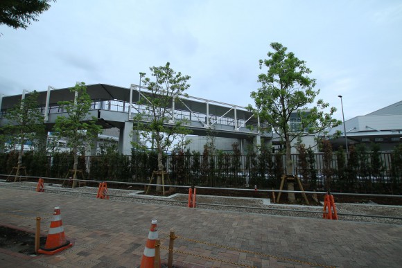 豊洲市場　現地写真