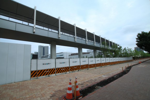 豊洲市場　現地写真