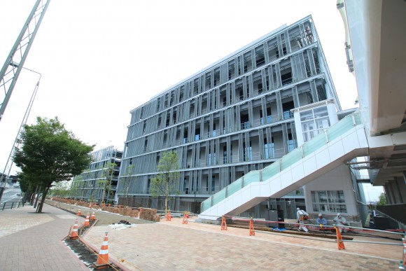 豊洲市場　現地写真