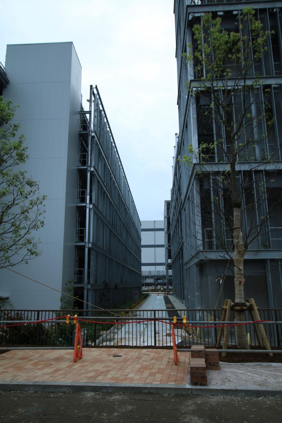 豊洲市場　現地写真