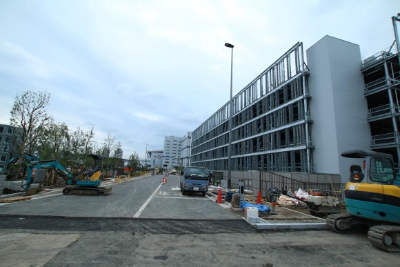 豊洲市場　現地写真