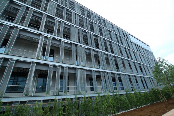 豊洲市場　現地写真