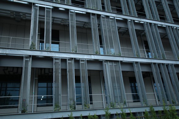 豊洲市場　現地写真