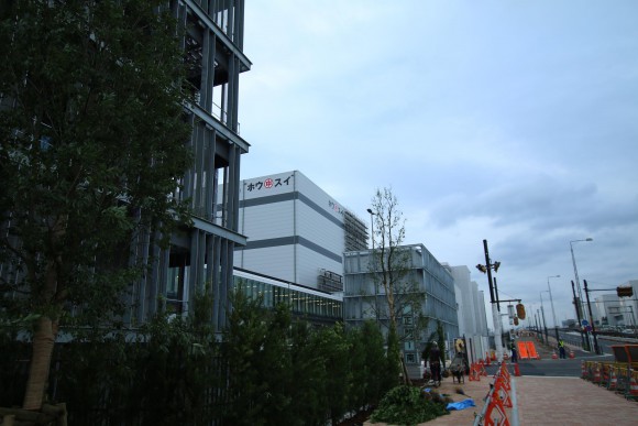 豊洲市場　現地写真