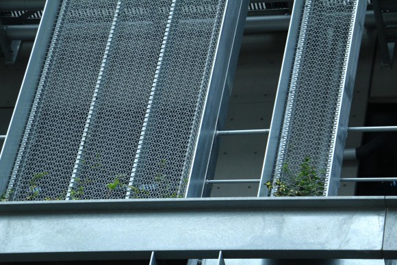 豊洲市場　現地写真