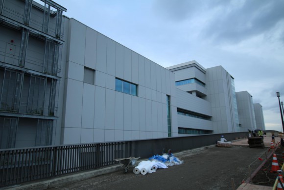 豊洲市場　現地写真