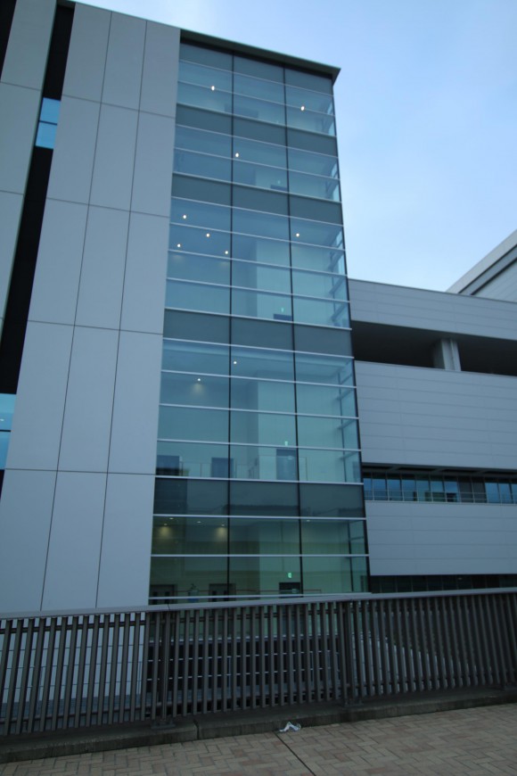 豊洲市場　現地写真