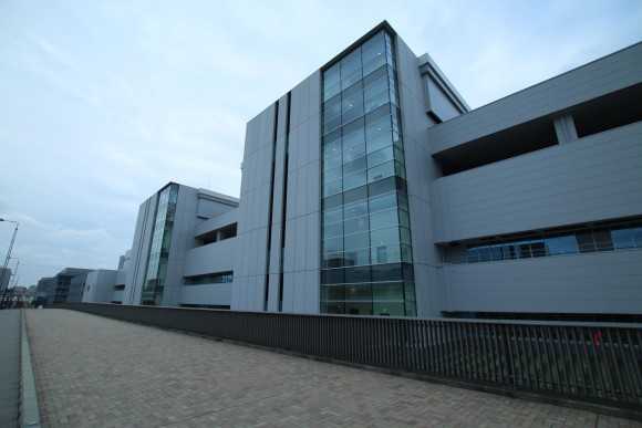 豊洲市場　現地写真