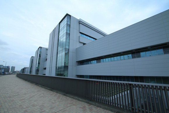 豊洲市場　現地写真