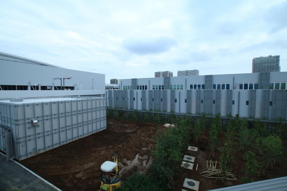 豊洲市場　現地写真