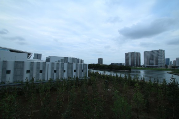 豊洲市場　現地写真