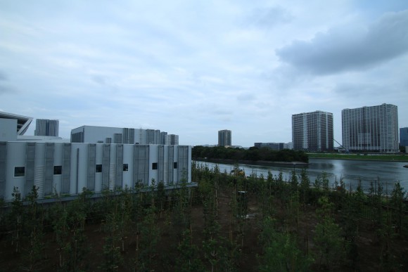 豊洲市場　現地写真