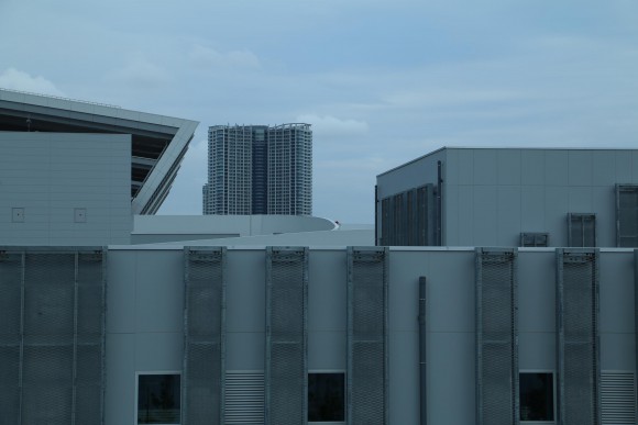 豊洲市場　現地写真