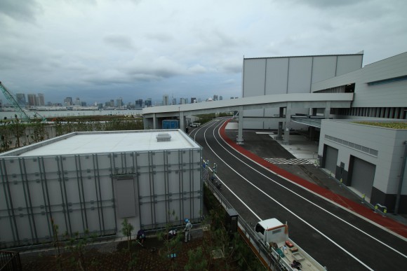 豊洲市場　現地写真