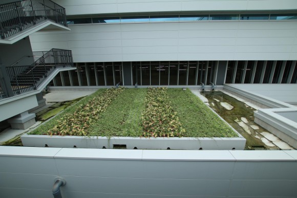 豊洲市場　現地写真