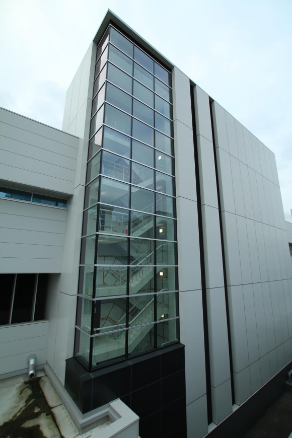 豊洲市場　現地写真