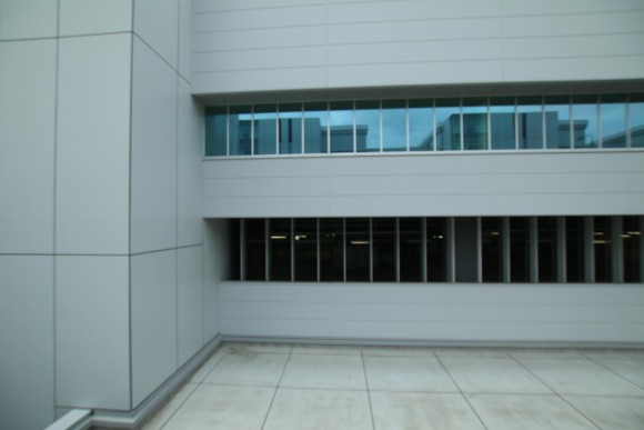 豊洲市場　現地写真