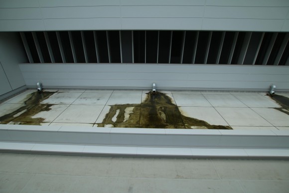 豊洲市場　現地写真