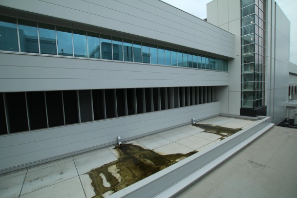 豊洲市場　現地写真