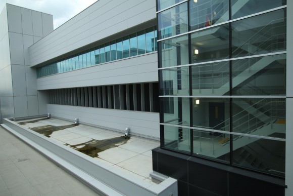 豊洲市場　現地写真