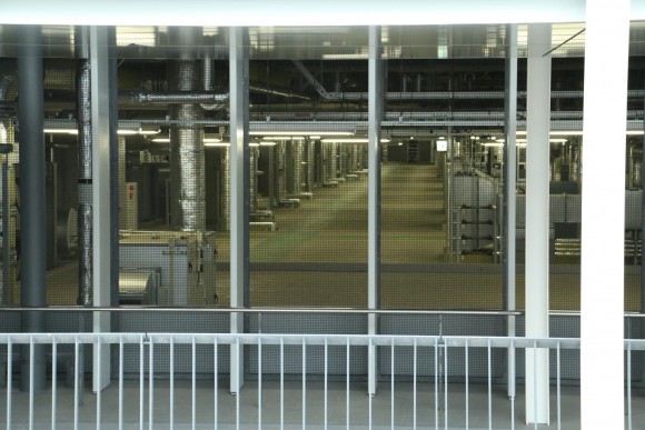 豊洲市場　現地写真