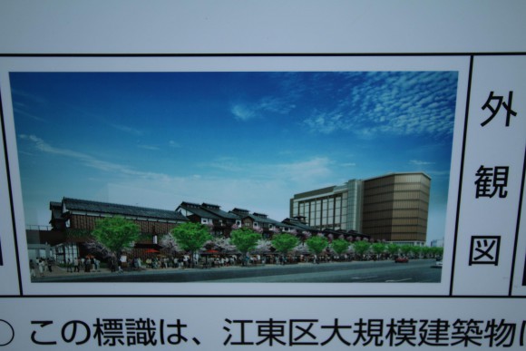 豊洲市場　現地写真